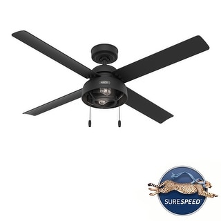 Hunter 52" Autumn Breeze Outdoor Ceiling Fan w/ LED Light Kit, Pull Chain, Damp-Rated - Industrial, Farmhouse - Exclusive!