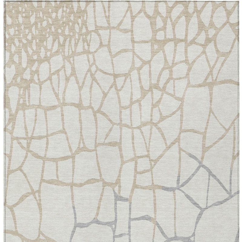 HomeRoots Abstract Transitional Rectangle Outdoor Rug