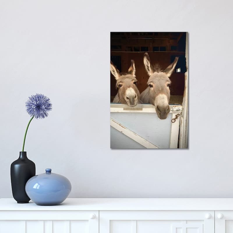 iCanvas "Pair Of Donkeys" by Susan Vizvary Canvas Print - 18x12x1.5
