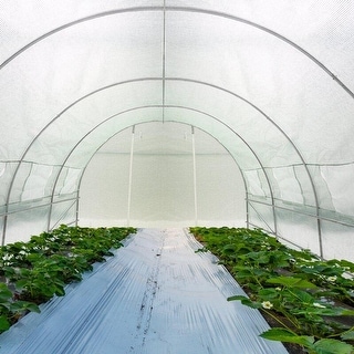 Zenova 20 Ft. W X 10 Ft. D Vented Outdoor Walk-In Greenhouse - 10 X 20