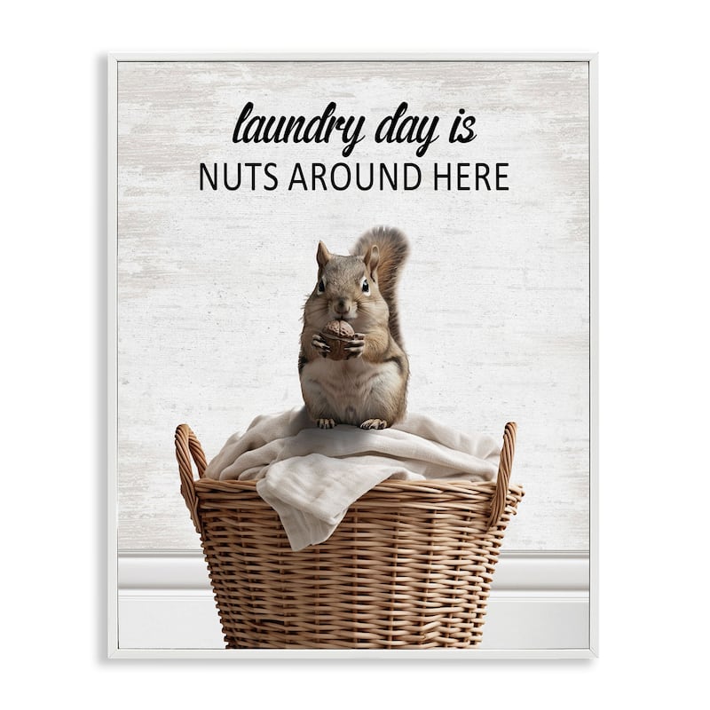 Stupell Funny Laundry Day Is Nuts Framed Giclee Art Design By Lettered and Lined - 16 x 20 - White