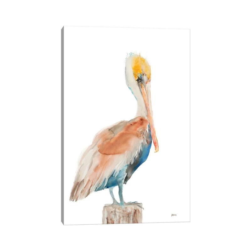iCanvas "Pelican I" by Patti Mann Canvas Print