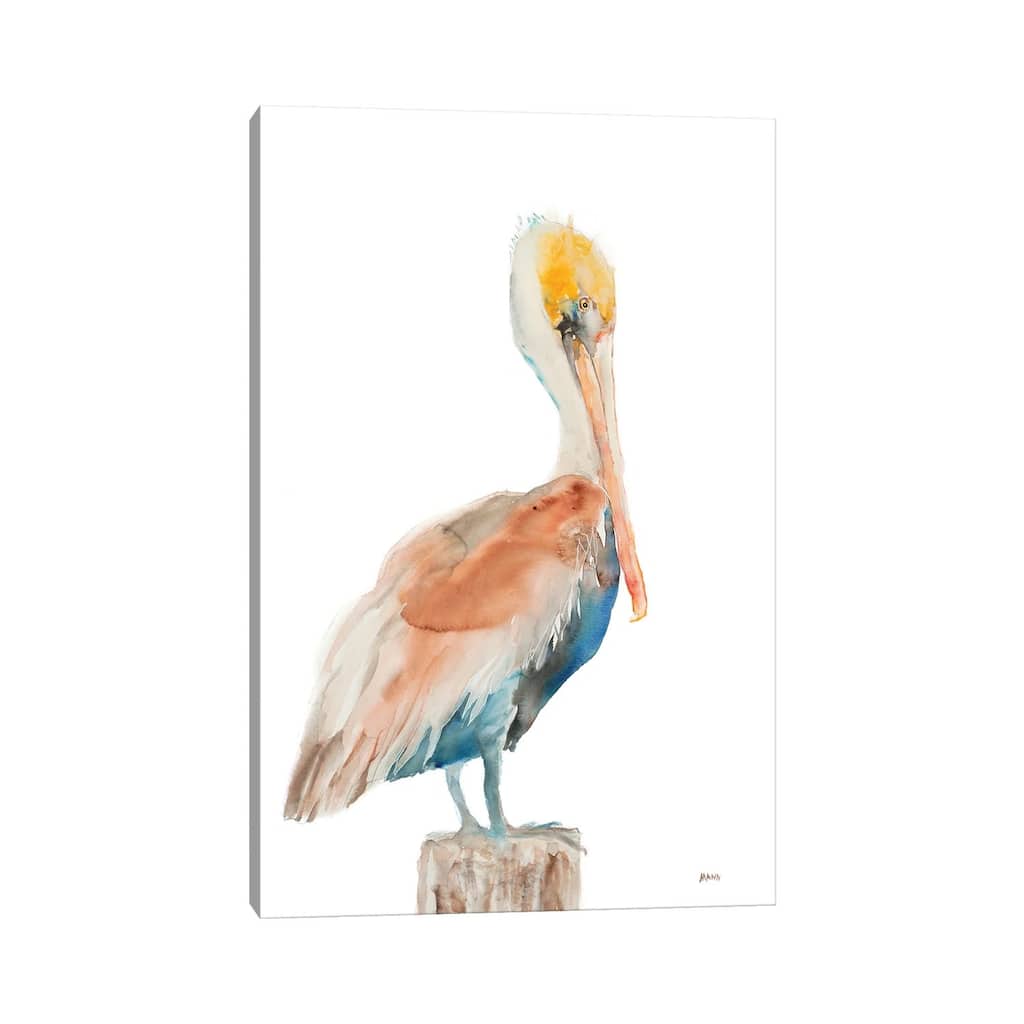 iCanvas "Pelican I" by Patti Mann Canvas Print