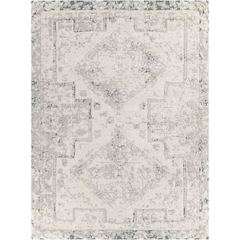 Hilaeira Distressed Traditional Area Rug
