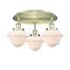 Option Antique Brass / Matte White