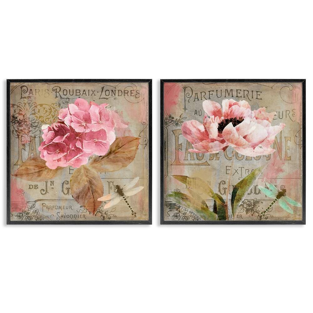 Stupell Vintage Collage French Florals Framed Giclee Art Design By Sasha (Set of 2)