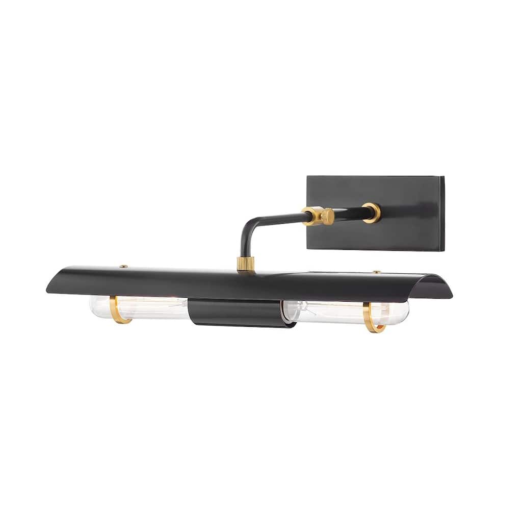 Mitzi Raelynn 2 Light Picture Light