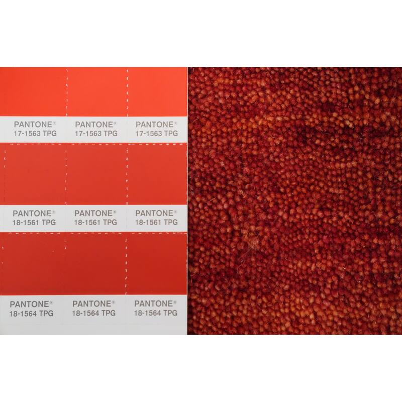 Hand Knotted Oriental 100% Wool Carpet Tribal Animal Pictorial Oranges & Rust Gabbeh Area Rug - 8' 7'' X 5' 8''