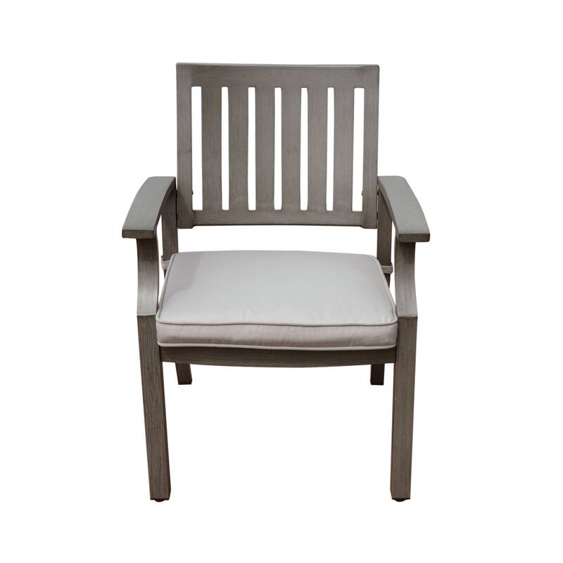 2 Piece Outdoor Dining Chair Set, All-Weather Aluminum Frame Patio Dining Chair Armchair with Cushion for Lawn Garden Backyard