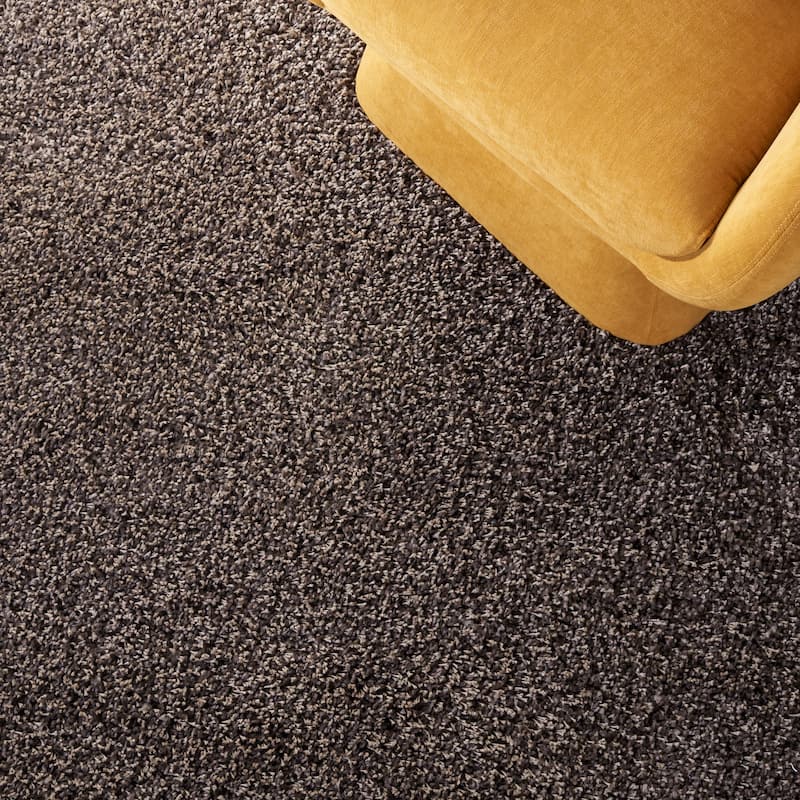 SAFAVIEH Santa Monica Shag Einara 2-inch Thick Area Rug