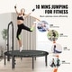 preview thumbnail 41 of 40, Foldable Mini Trampoline, Fitness Rebounder, Stable & Quiet Trampoline for Adults Indoor/Garden Workout