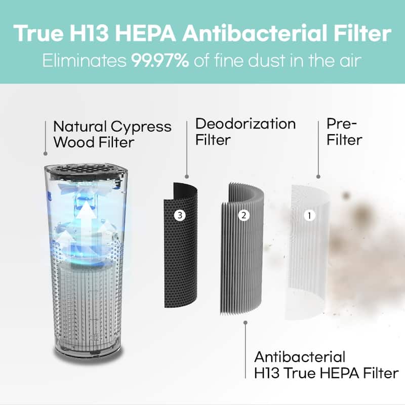 IMUNSEN Portable Air Purifier with Cypress Wood Filter and HEPA Filter