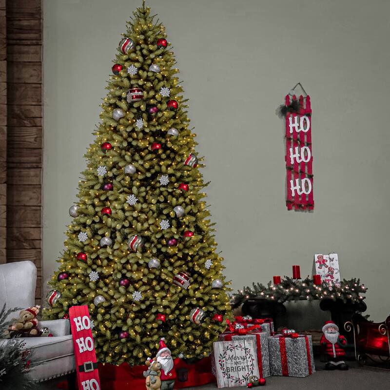 National Tree Company 10 ft. Downswept Douglas Fir Tree with Clear Lights