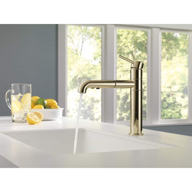 Delta Trinsic Pull-Out Kitchen Faucet - Includes Lifetime Warranty