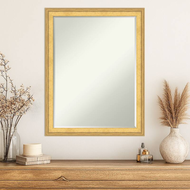 Owen Half-Inch-Bevel Framed Wall Mirror - Owen Gold - 21 x 27 in