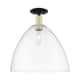 Option Black Antique Brass / Clear
