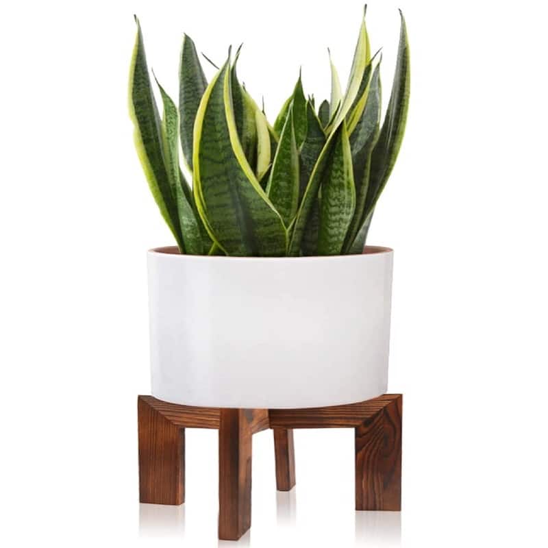 Wood Plant Stand - 11.8 x 11.8 x 7 inches - Wood Grain
