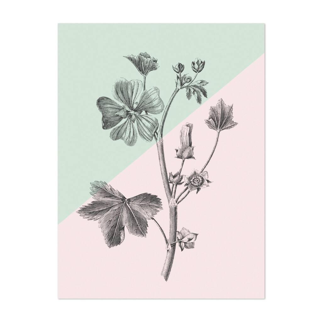 Conversations on Botany VII Color Block Drawing Art Print/Poster