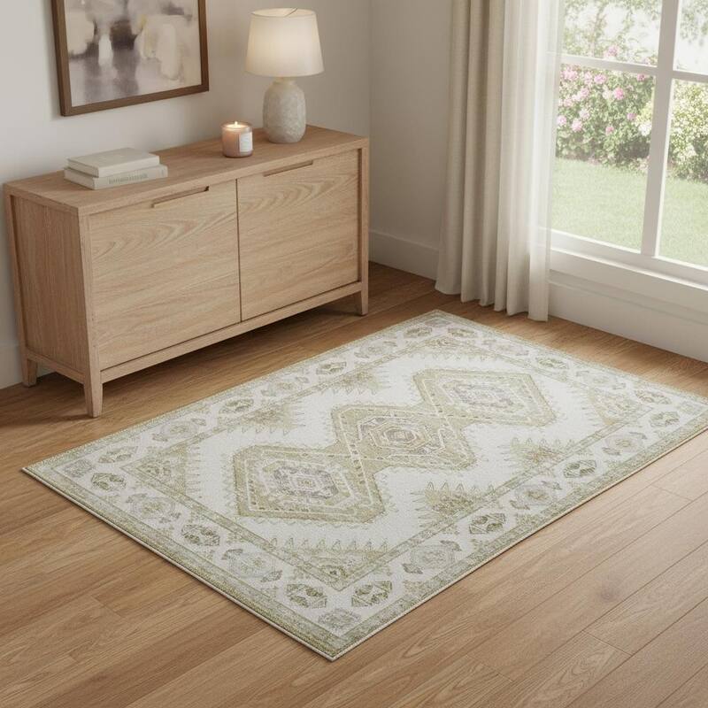 HomeRoots Southwestern Modern, Contemporary Rectangle Area Rug - 4' X 6'