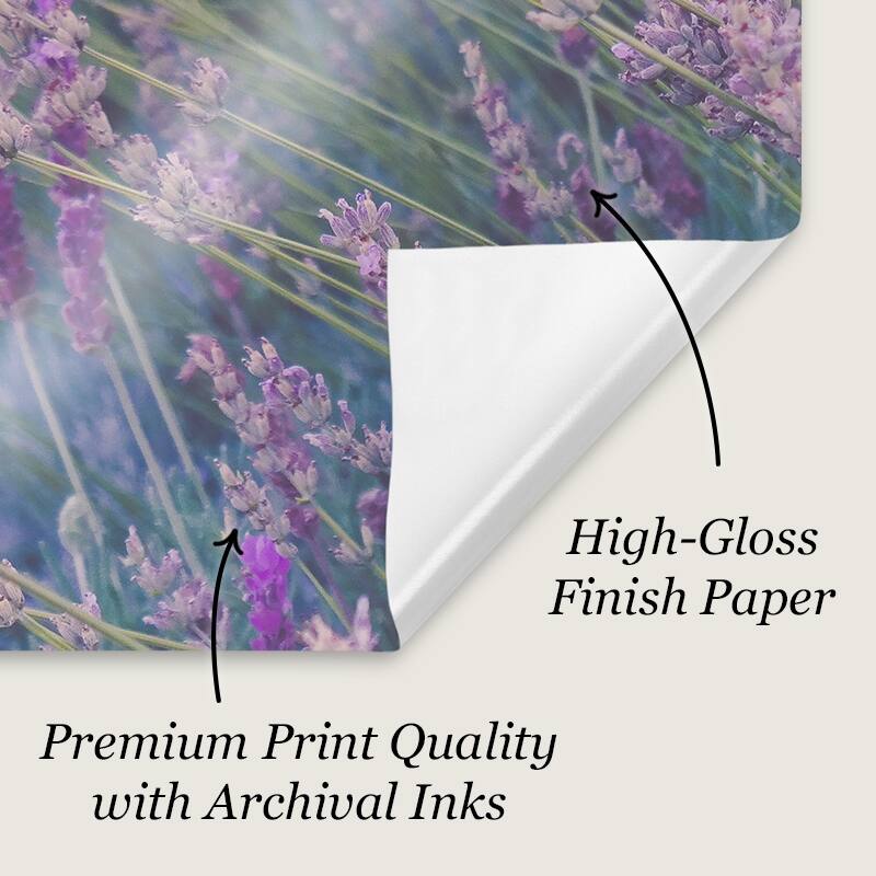 " Adirondack Chairs Porch Plymouth VT" Poster Print