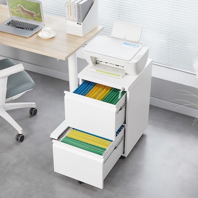 Metal 2 Drawer Mobile File Cabinet with Lock, Under Desk Office Steel Filing Cabinet