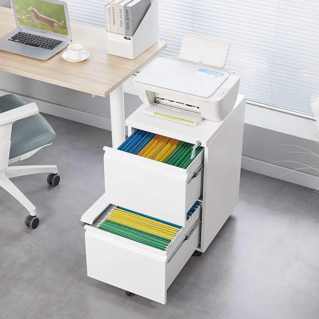 Metal 2 Drawer Mobile File Cabinet with Lock, Under Desk Office Steel Filing Cabinet