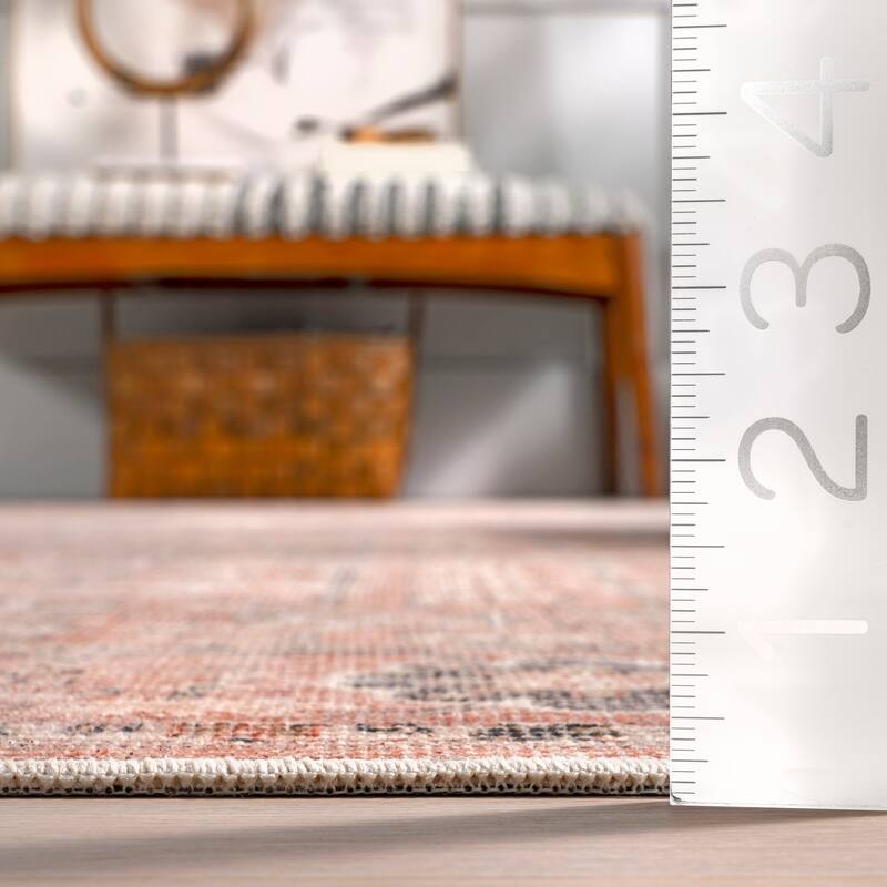 Nuloom Evalina SpinClean Traditional Cotton Machine Washable Area Rug