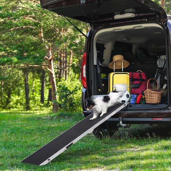 Vehicle outlet pet ramp