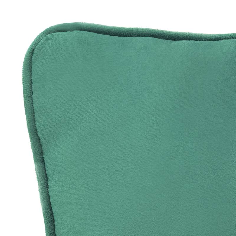 Seren Velvet Decorative Pillow 20 x 20