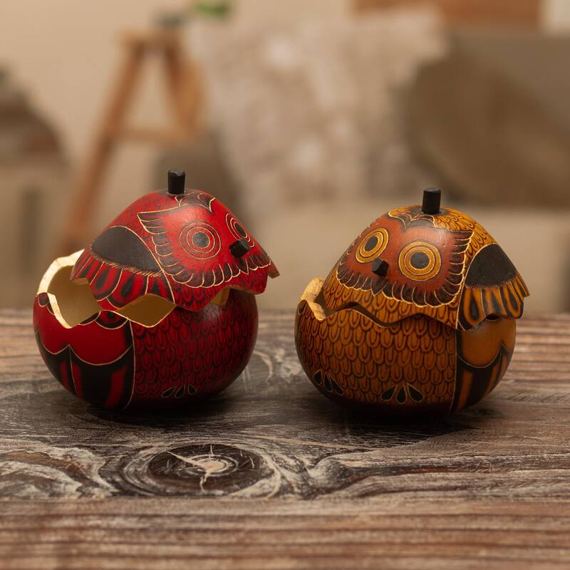 Novica Handmade Fortunate Owls Dried Mate Gourd Decorative Boxes (Pair)