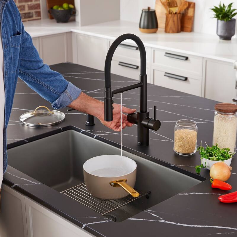 Blanco 442990 Catris Filter-Ready 1.5 GPM Single Hole Pre-Rinse Pull