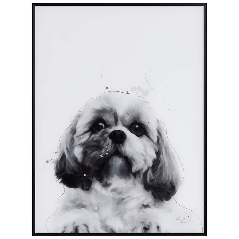 "Shih-Tzu" Black and White Pet Paintings on Printed Glass Encased with a Black Anodized Frame