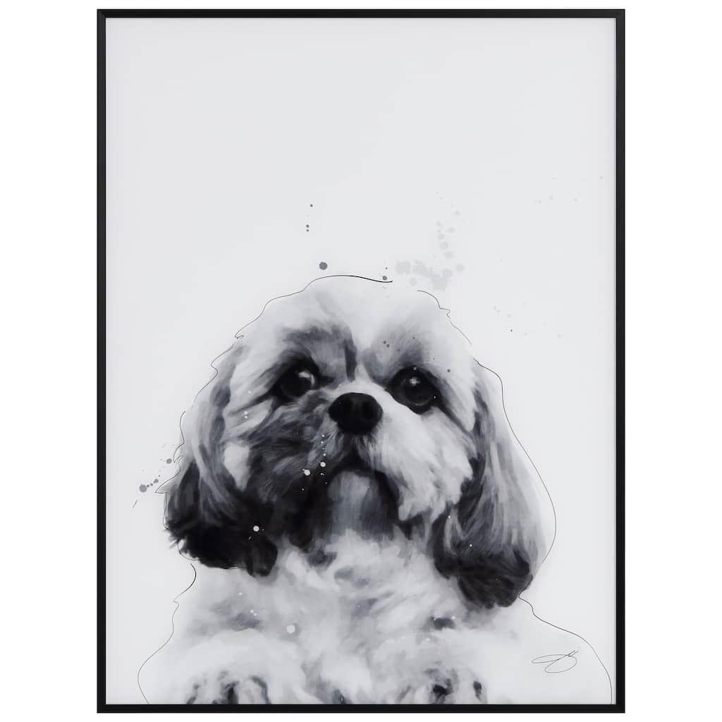 "Shih-Tzu" Black and White Pet Paintings on Printed Glass Encased with a Black Anodized Frame