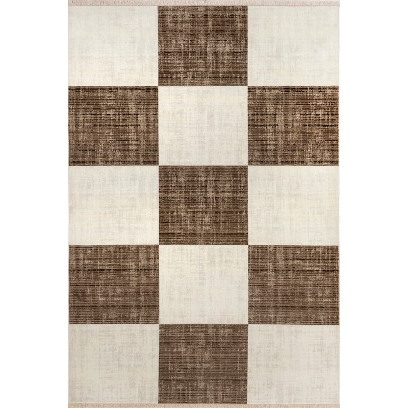 Aspen Checkerboard Fringed Area Rug