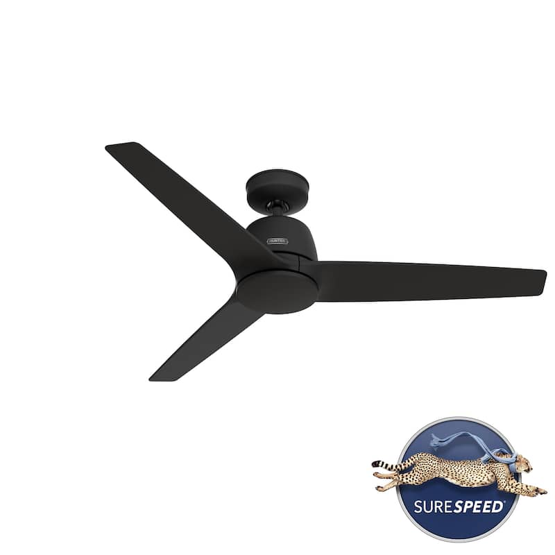 Hunter + Jasmine Roth 52" Malden Ceiling Fan and Handheld Remote - Contemporary, Modern - Designer!