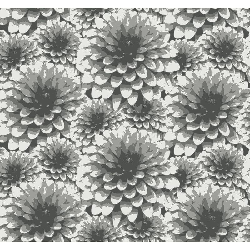 A-Street Prints Umbra Charcoal Floral Wallpaper