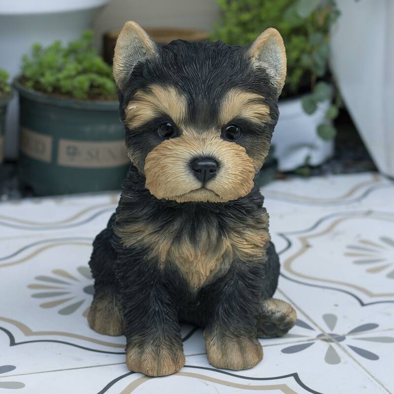 SoReal Brown Baby YorkTerrier