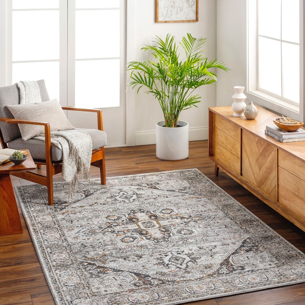 Livabliss San Francisco Updated Traditional Area Rug