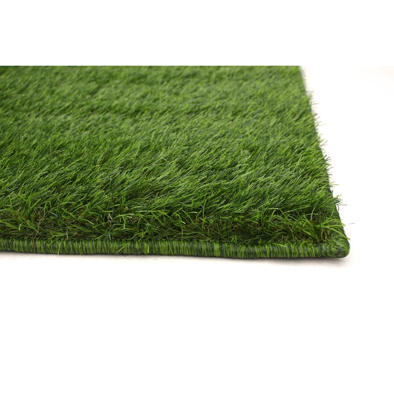 ECARPETGALLERY Faux Grass Natural Rug