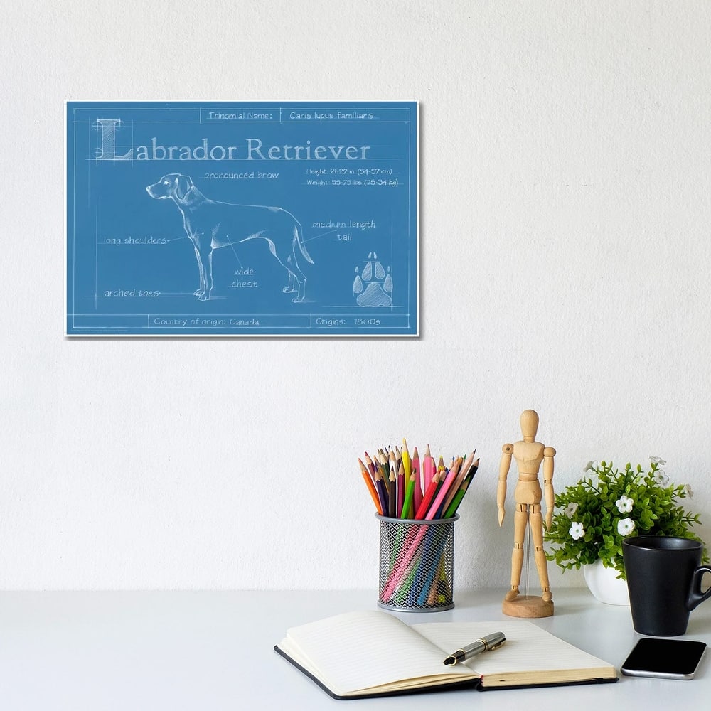 iCanvas "Blueprint Of A Labrador Retriever" by Ethan Harper Canvas Print