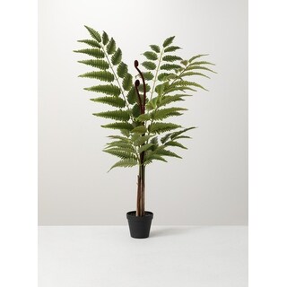 Sullivans Potted Fern - Green - Bed Bath & Beyond - 33258255