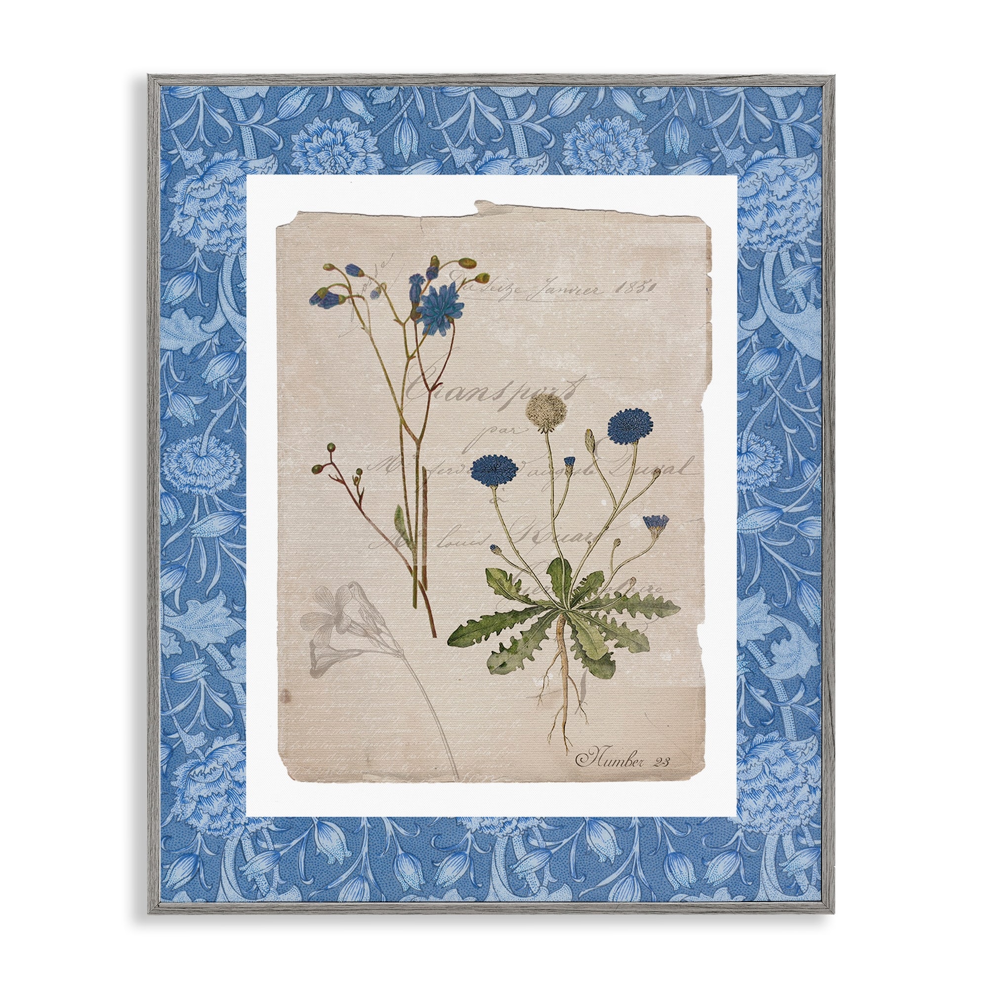 Stupell Blue Antique Herbs Framed Giclee Art Design By Livi Finn