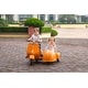 preview thumbnail 9 of 43, Vespa Scooter Adventure: Storage Space and Dual Seats for Siblings