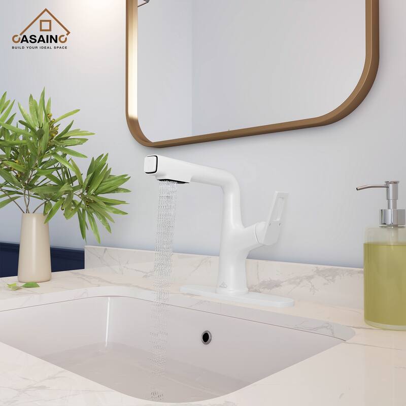 Single Handle Pull Out Sprayer Kitchen Faucet with Advanced Spray