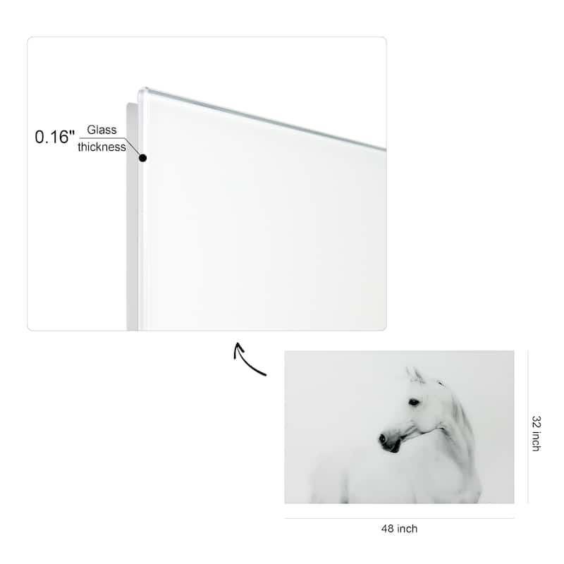 White Horse Frameless Free Floating Tempered Art Glass Wall Art