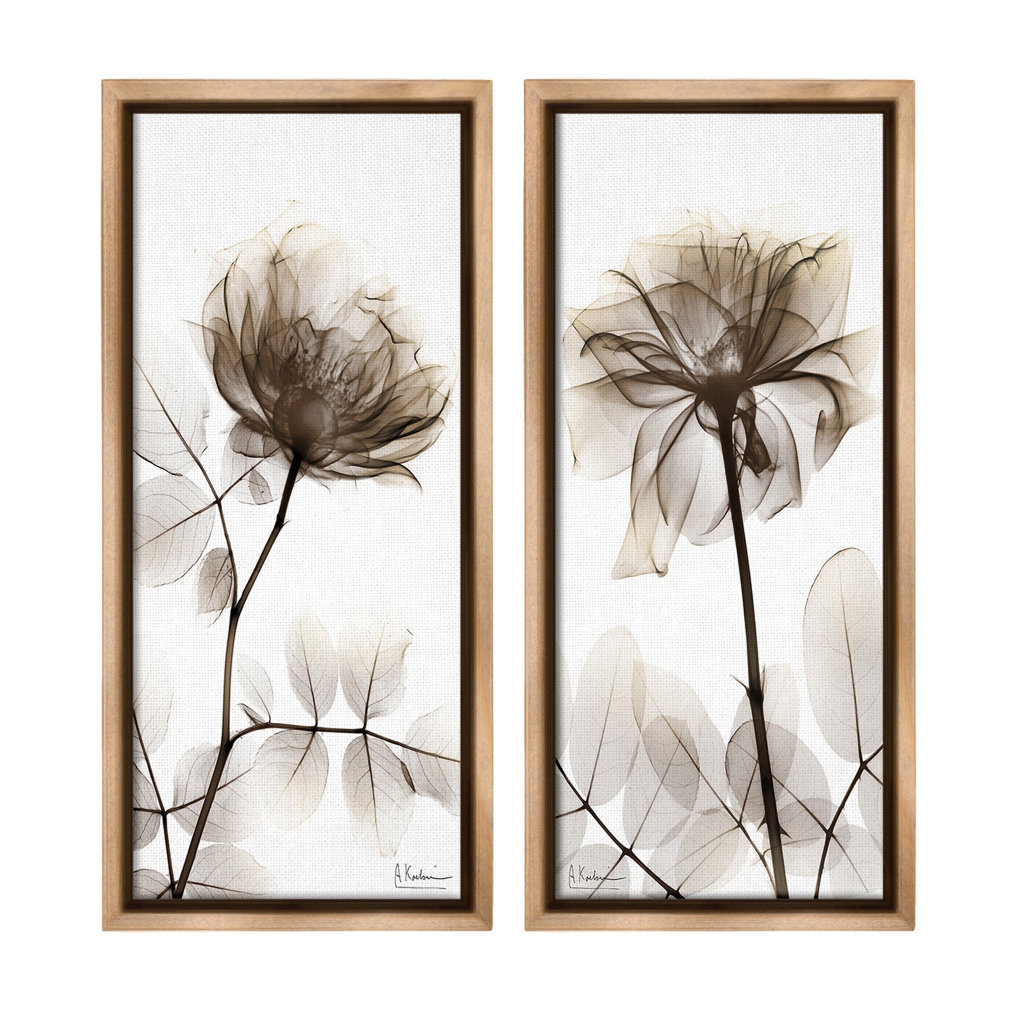 Stupell Natural Modern Blooms Framed Floater Canvas Wall Art Design By Albert Koetsier (Set of 2)
