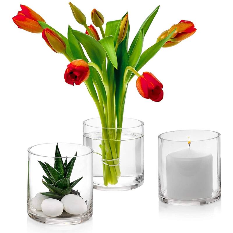 Set of 3 Glass Cylinder Vases Perfect as a Wedding Bed Bath & Beyond