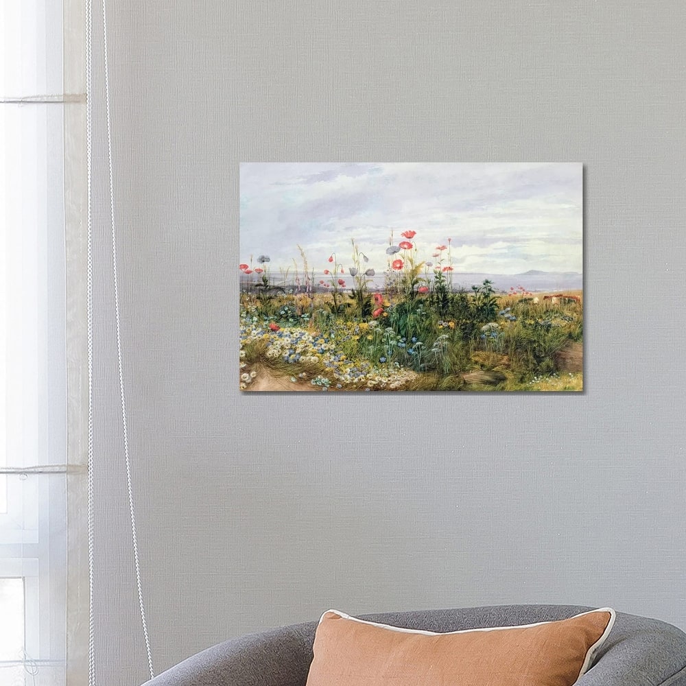 iCanvas "Wildflowers with a View of Dublin Dunleary " by Andrew Nicholl Canvas Print
