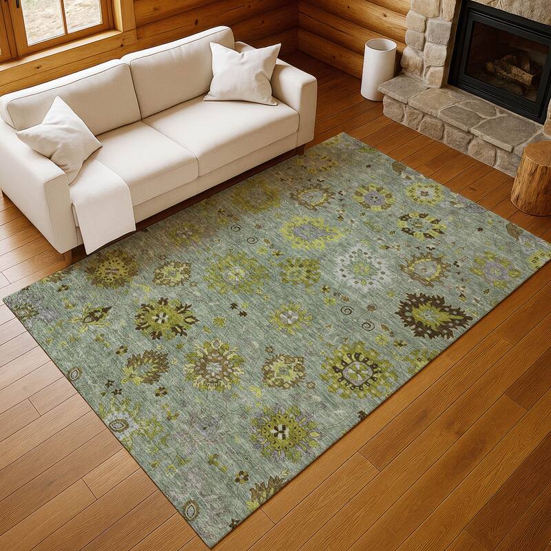 Machine Washable Indoor/ Outdoor Vintage Traditional Chantille Rug