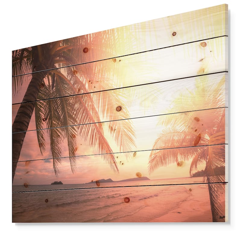Designart 'Coconut in Golden Sunset' Landscapes Sea & Shore ...